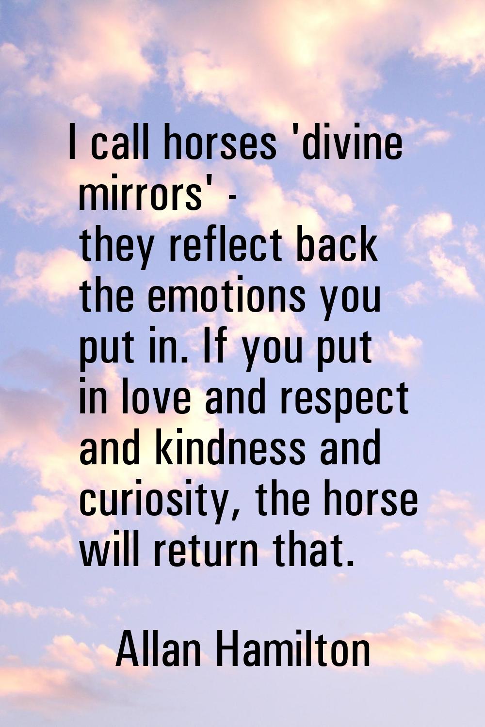 I call horses 'divine mirrors' - they reflect back the emotions you put in. If you put in love and 