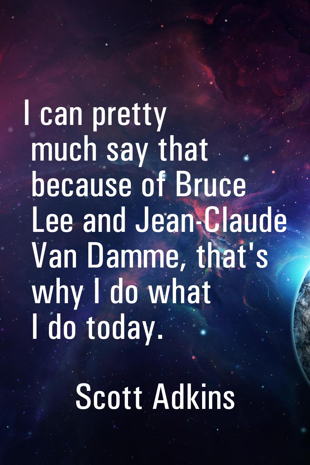 I can pretty much say that because of Bruce Lee and Jean-Claude Van Damme, that's why I do what I d