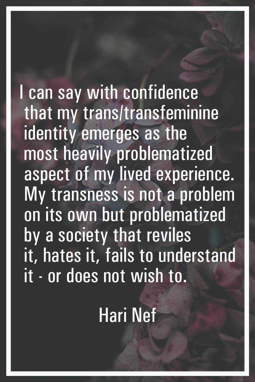 I can say with confidence that my trans/transfeminine identity emerges as the most heavily problema