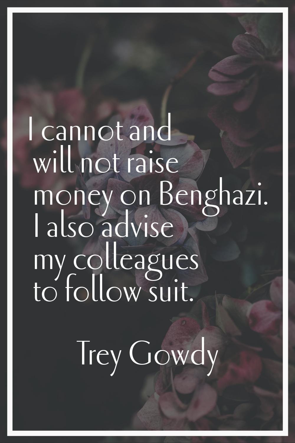 I cannot and will not raise money on Benghazi. I also advise my colleagues to follow suit.