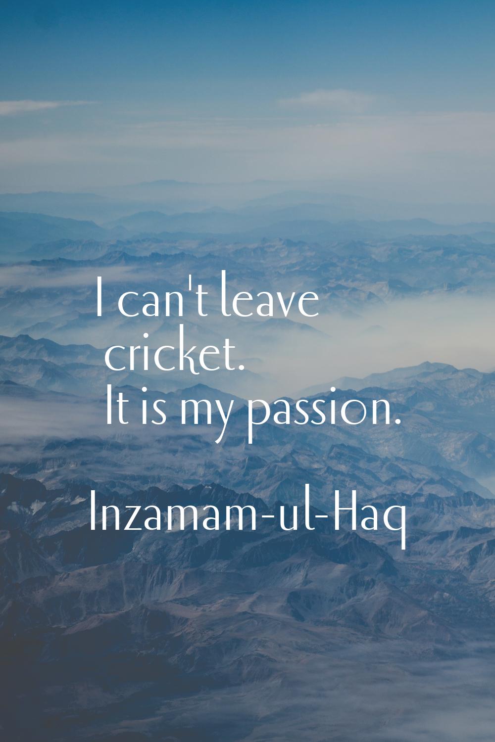 I can't leave cricket. It is my passion.