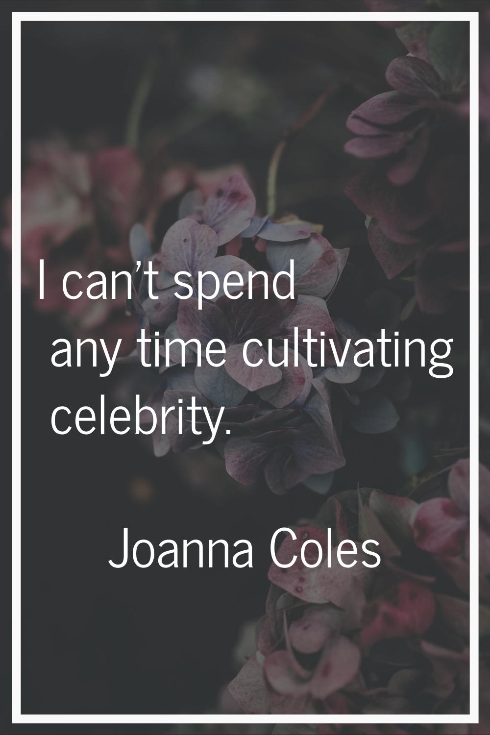 I can't spend any time cultivating celebrity.