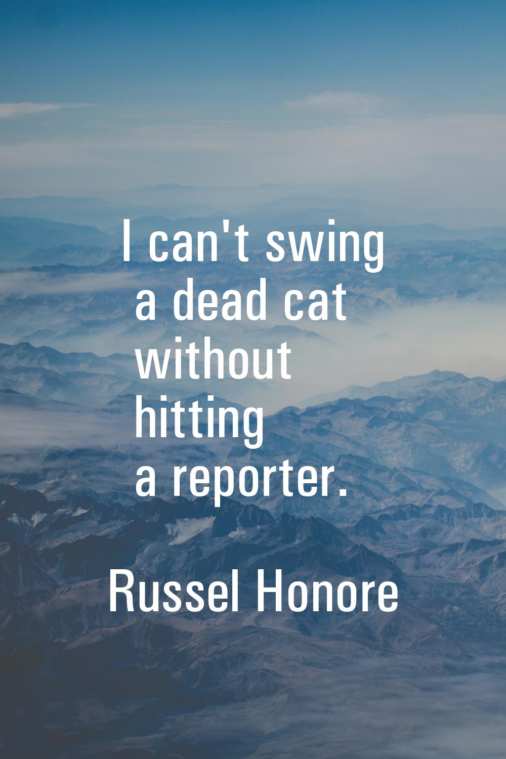 I can't swing a dead cat without hitting a reporter.