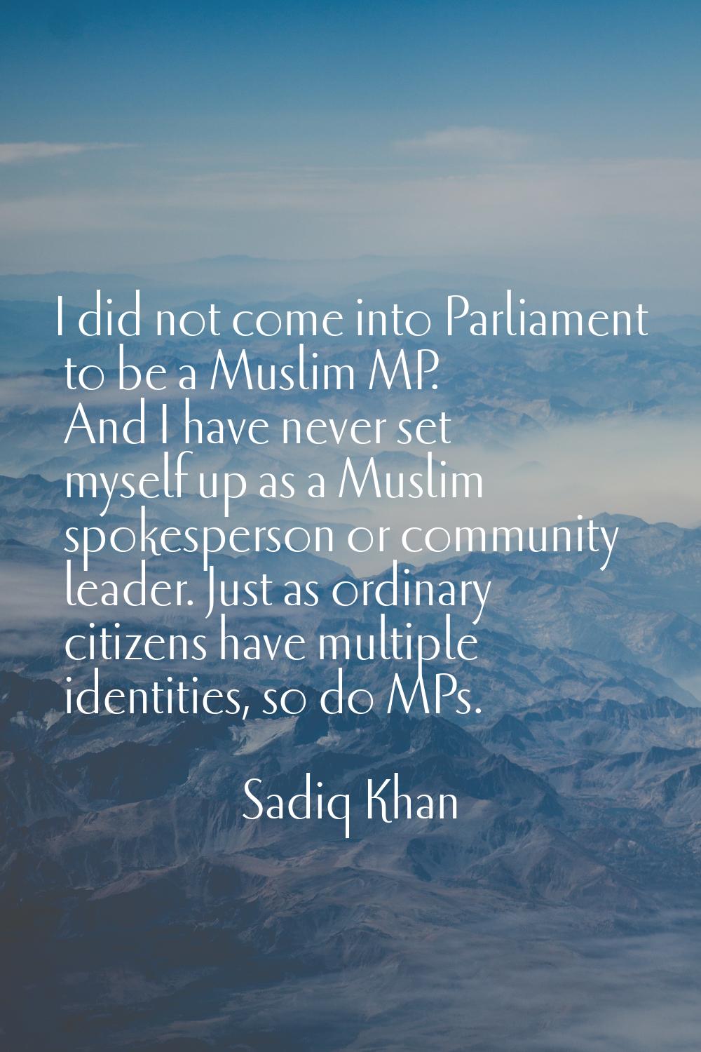 I did not come into Parliament to be a Muslim MP. And I have never set myself up as a Muslim spokes