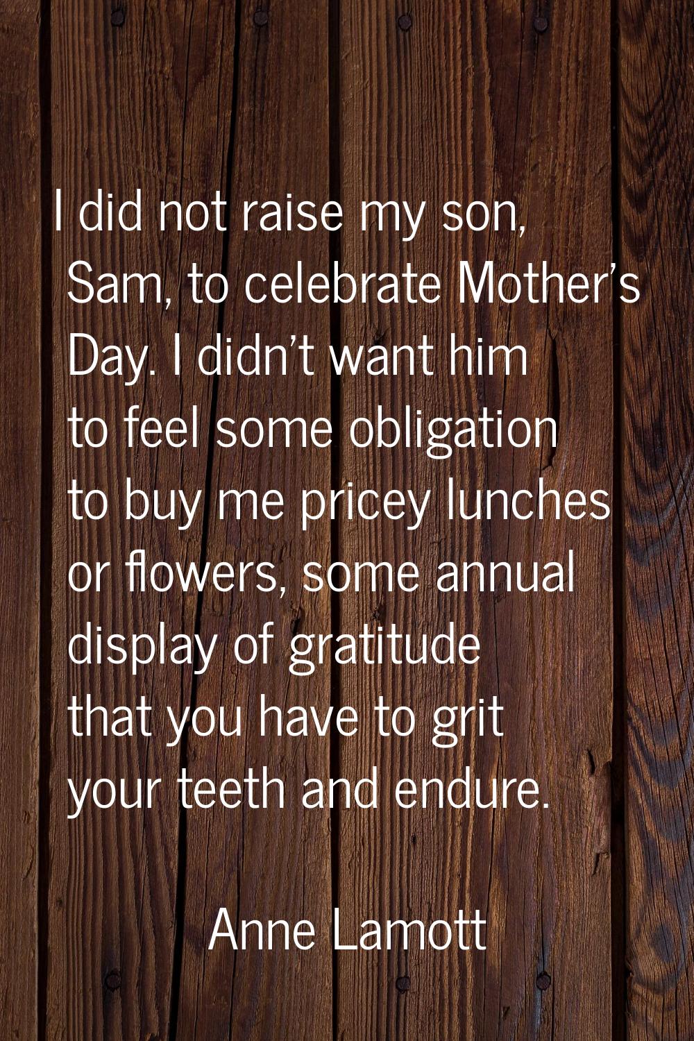 I did not raise my son, Sam, to celebrate Mother's Day. I didn't want him to feel some obligation t