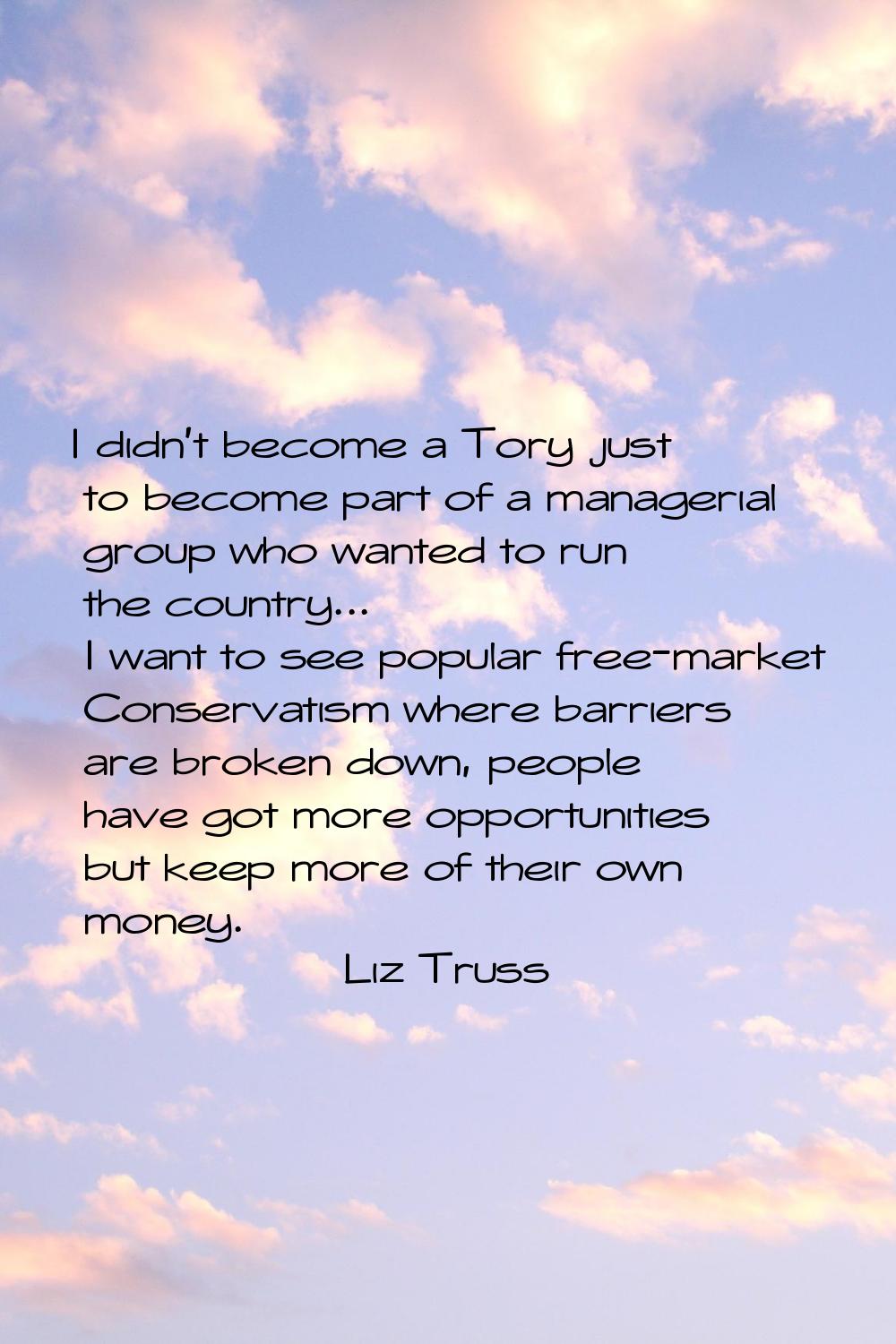 I didn't become a Tory just to become part of a managerial group who wanted to run the country... I