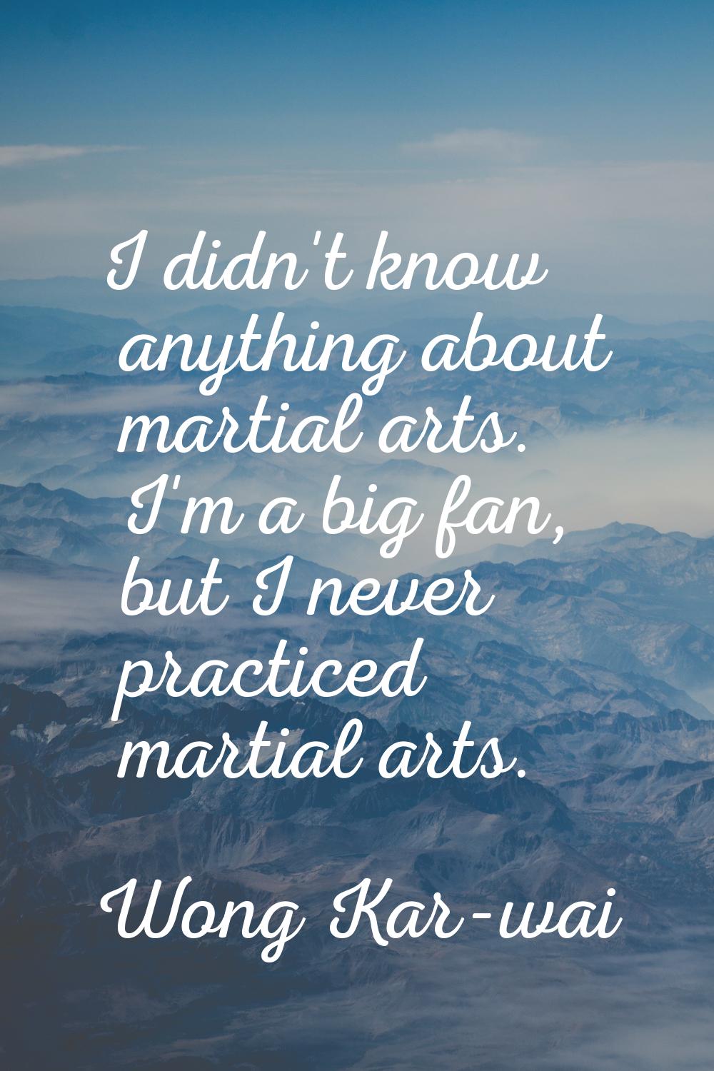 I didn't know anything about martial arts. I'm a big fan, but I never practiced martial arts.