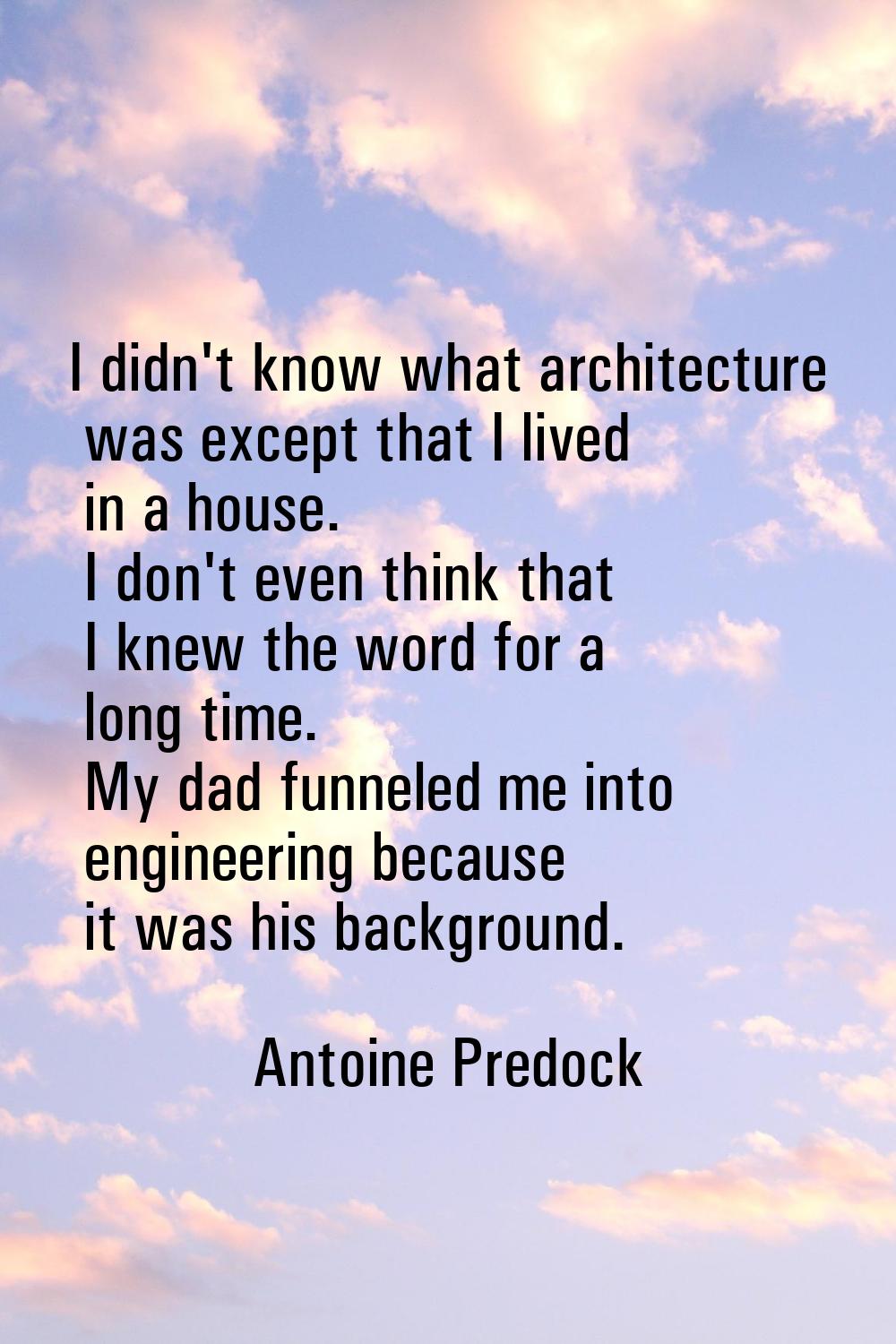 I didn't know what architecture was except that I lived in a house. I don't even think that I knew 