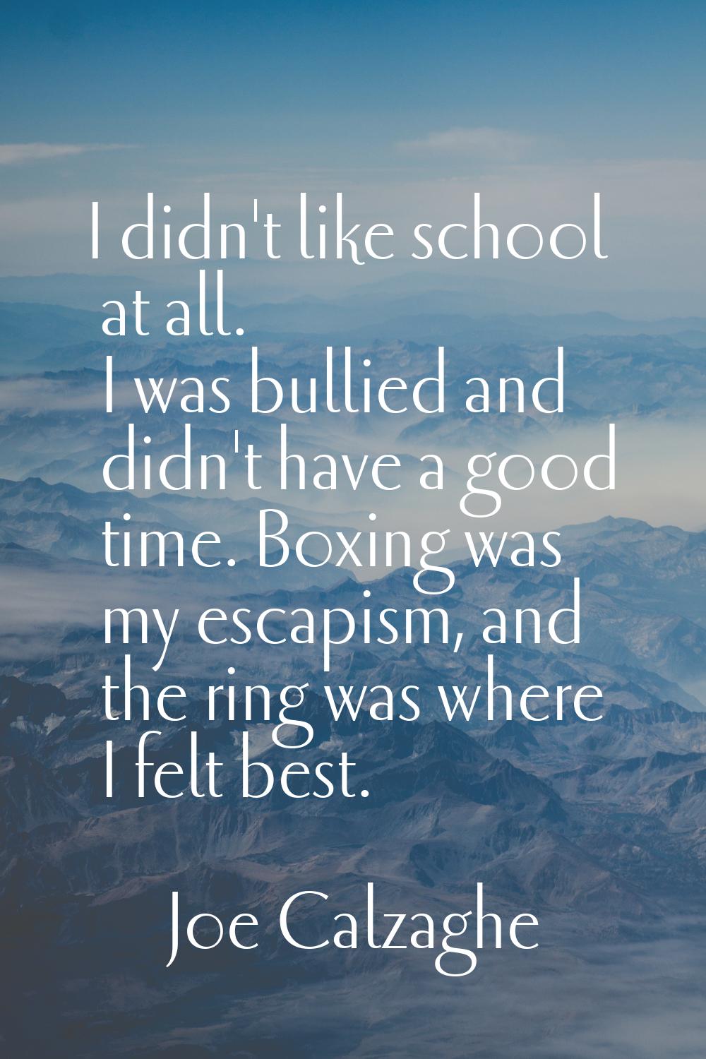 I didn't like school at all. I was bullied and didn't have a good time. Boxing was my escapism, and