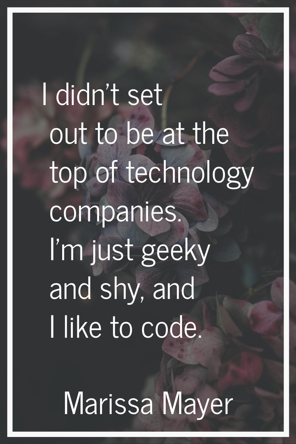 I didn't set out to be at the top of technology companies. I'm just geeky and shy, and I like to co