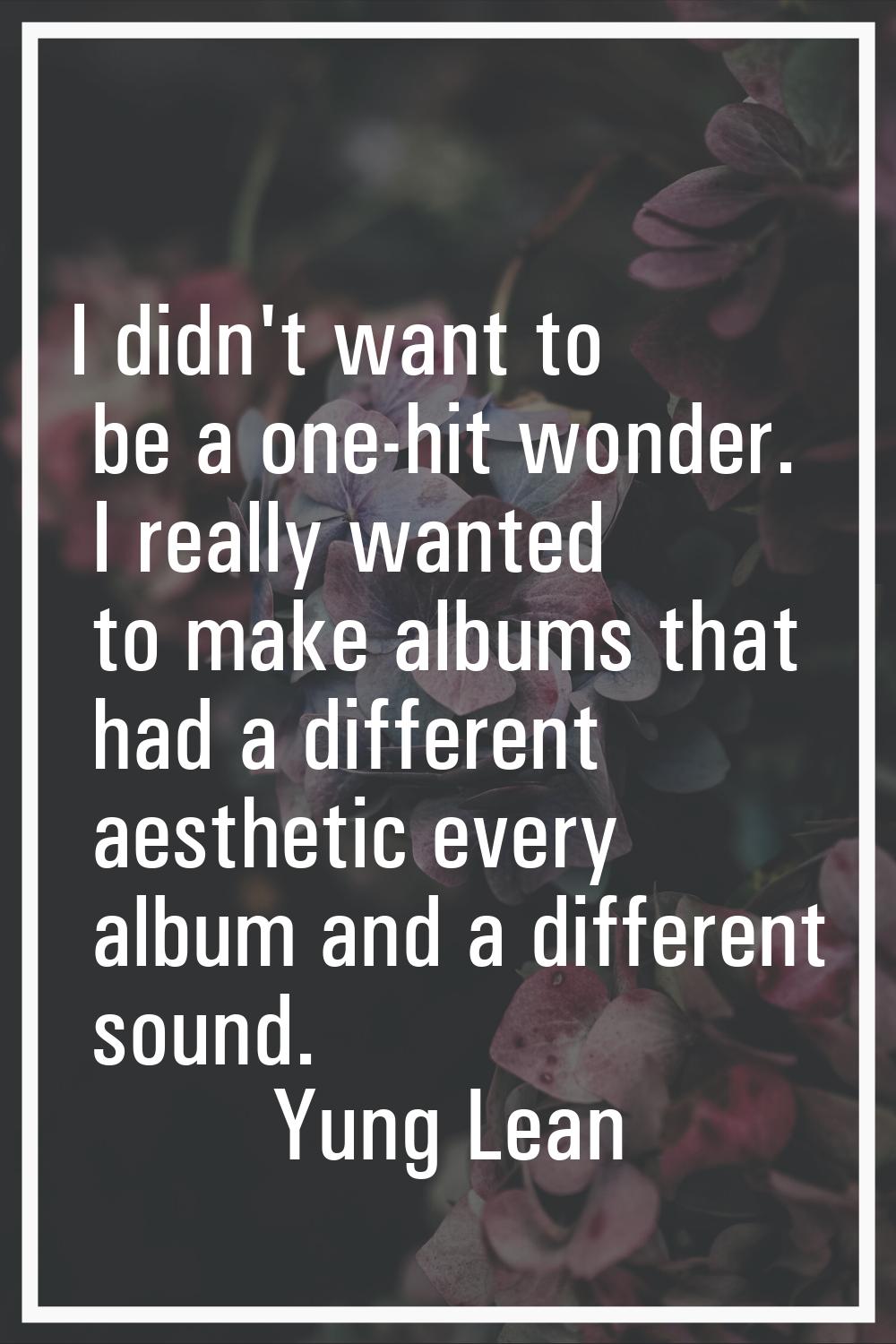 I didn't want to be a one-hit wonder. I really wanted to make albums that had a different aesthetic