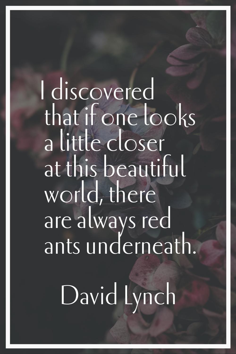 I discovered that if one looks a little closer at this beautiful world, there are always red ants u