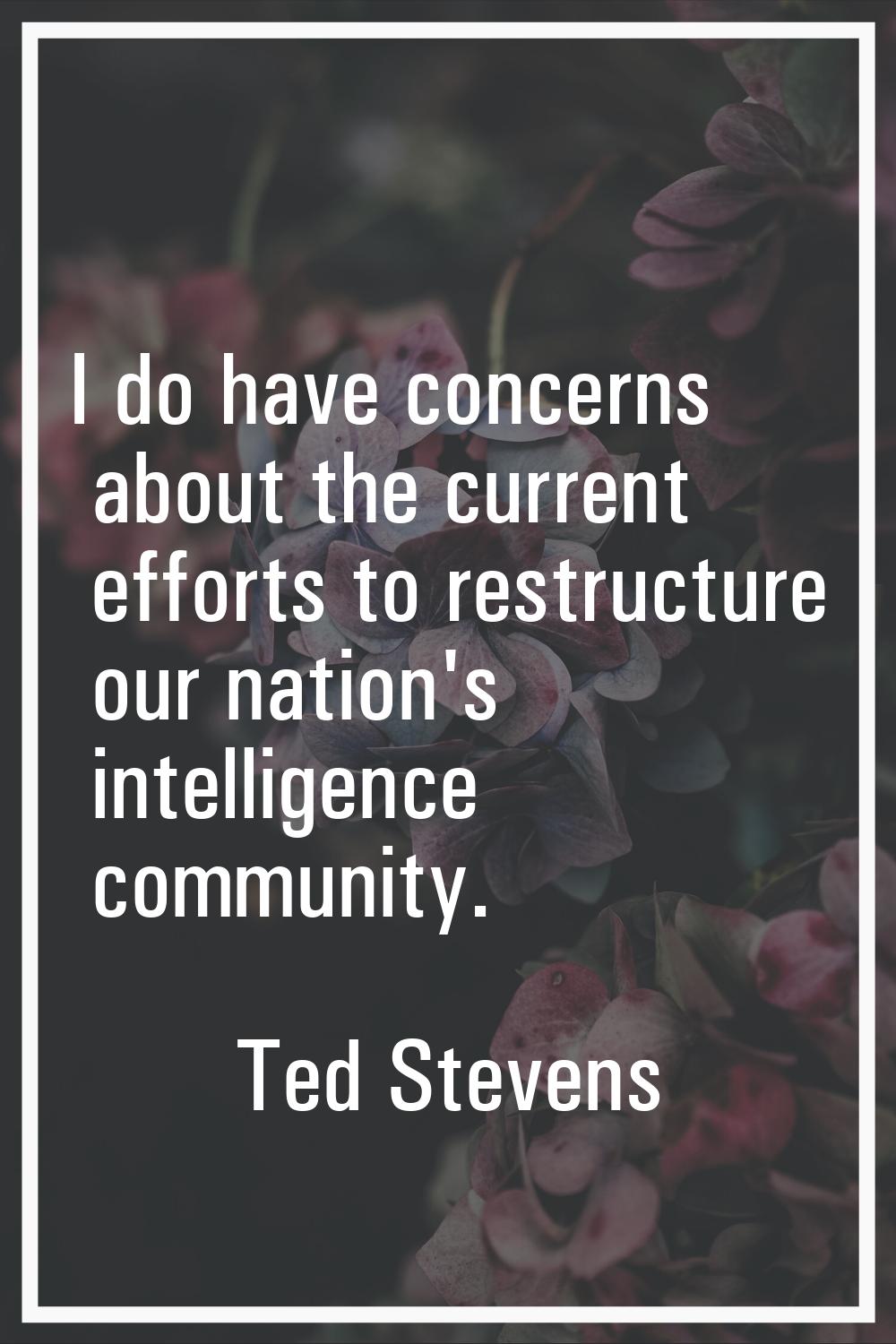 I do have concerns about the current efforts to restructure our nation's intelligence community.