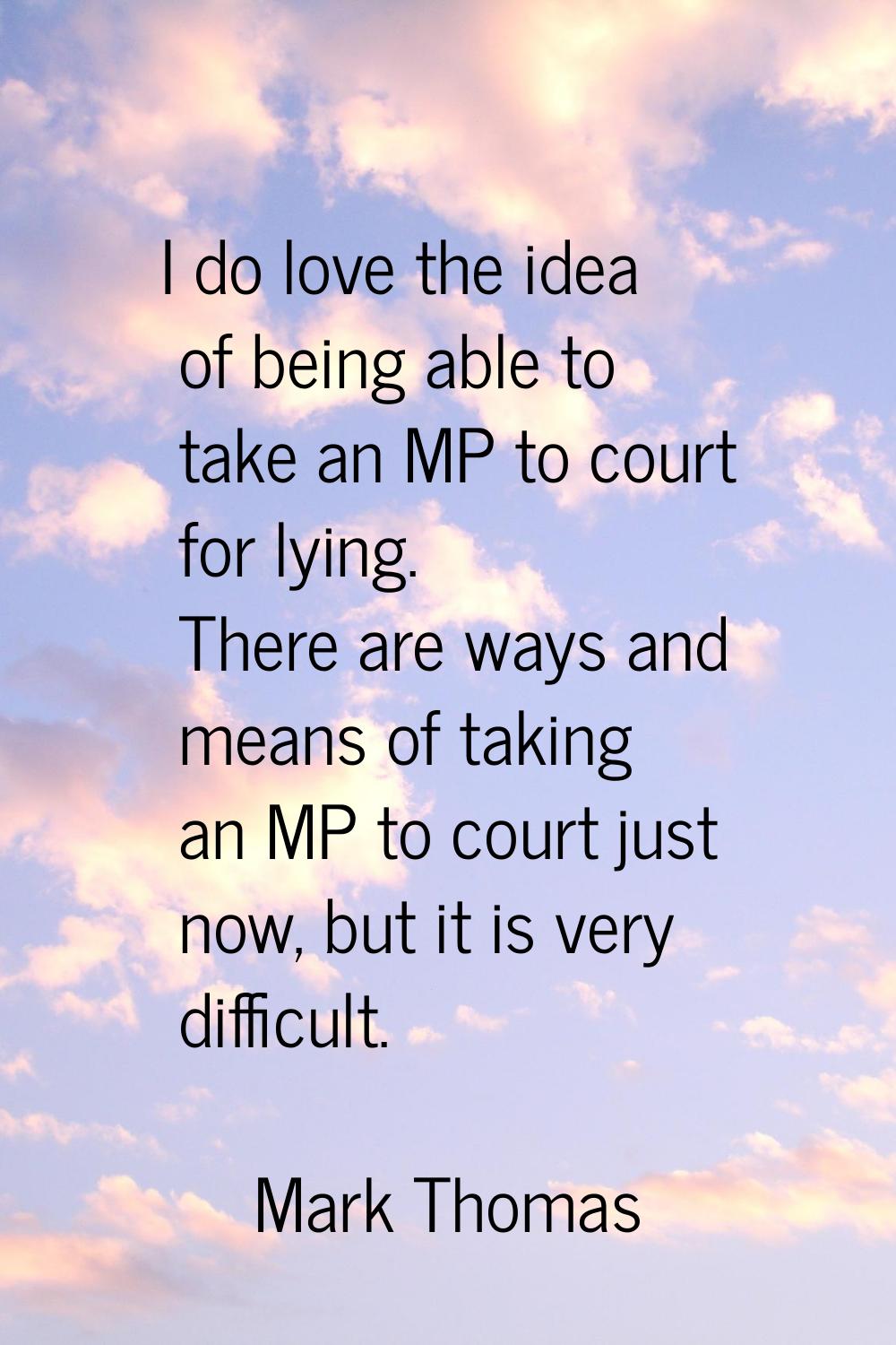 I do love the idea of being able to take an MP to court for lying. There are ways and means of taki