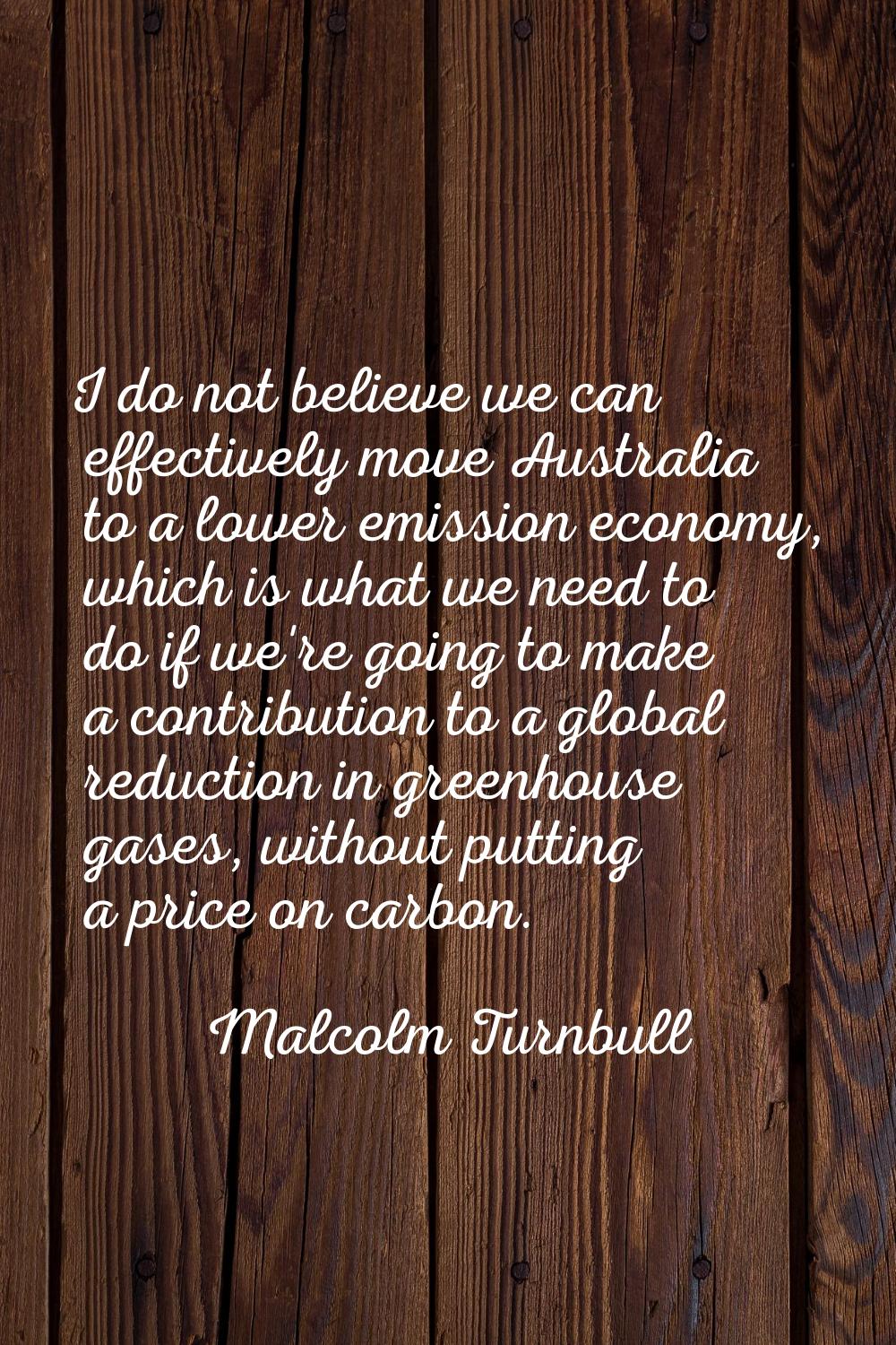 I do not believe we can effectively move Australia to a lower emission economy, which is what we ne