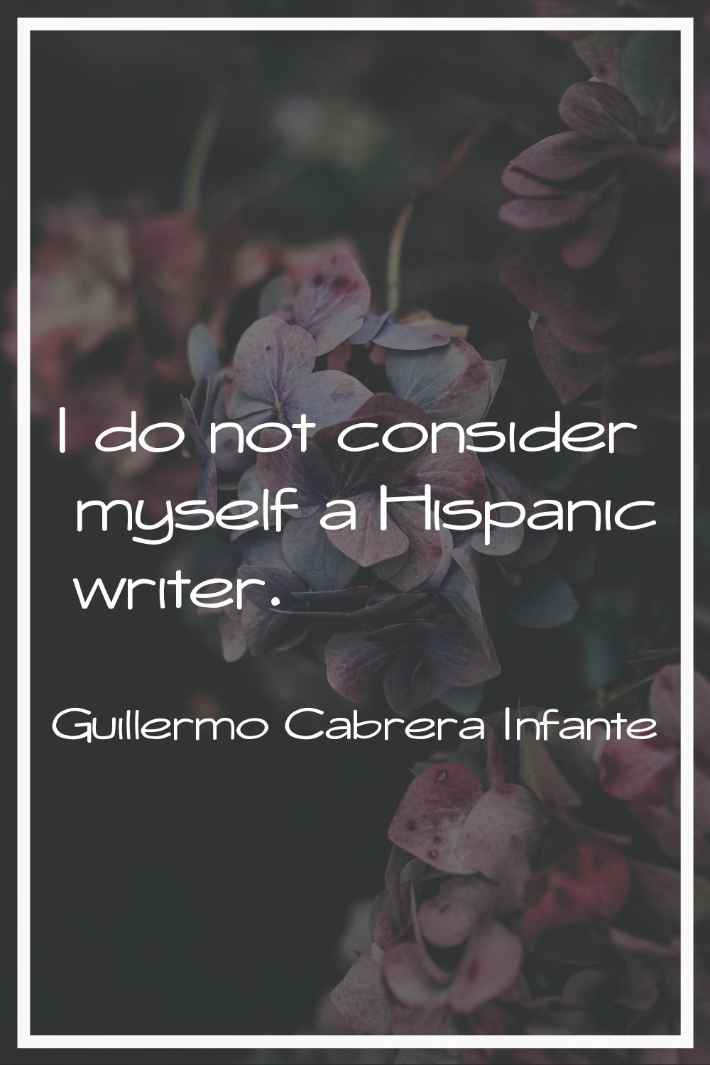 I do not consider myself a Hispanic writer.
