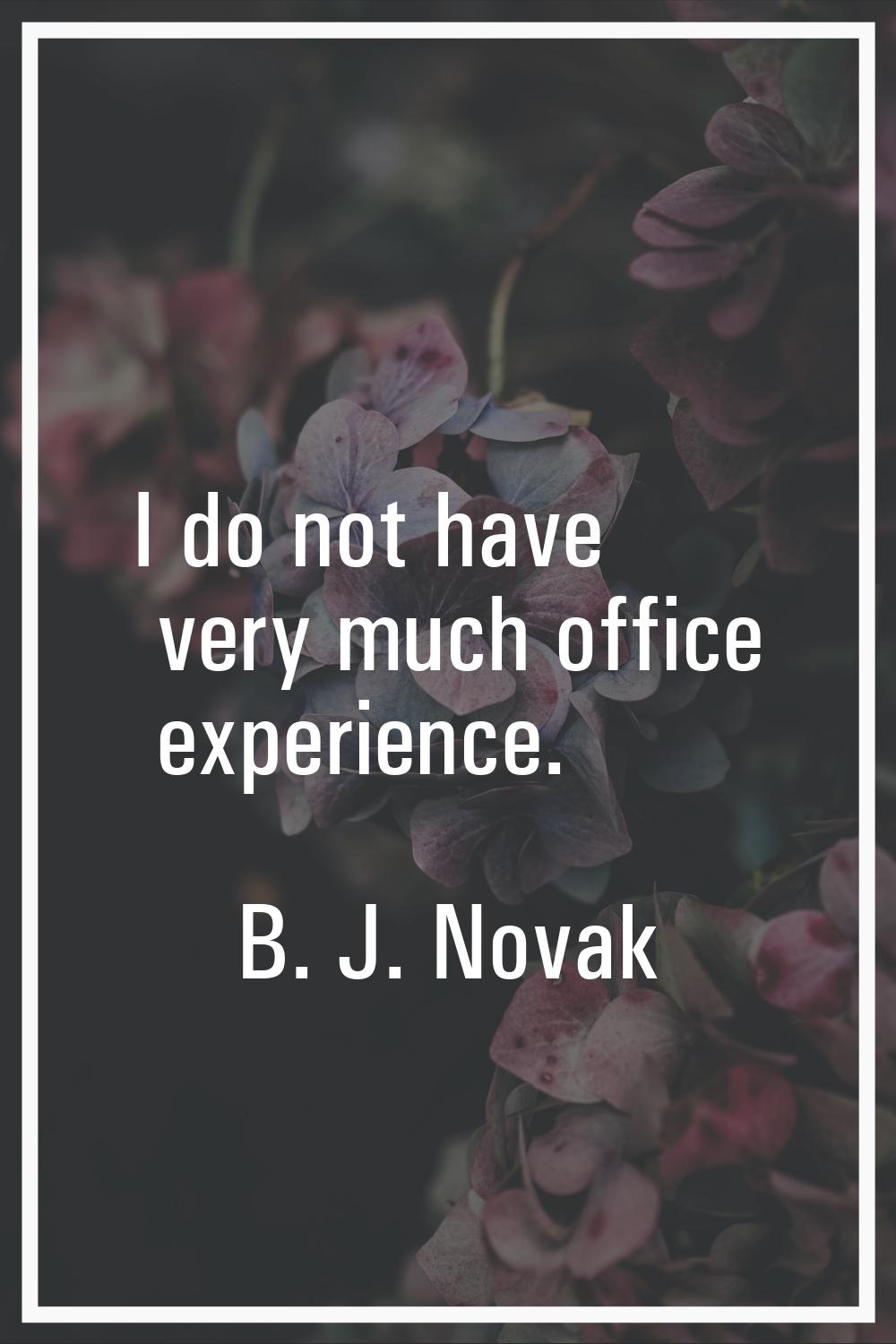 I do not have very much office experience.