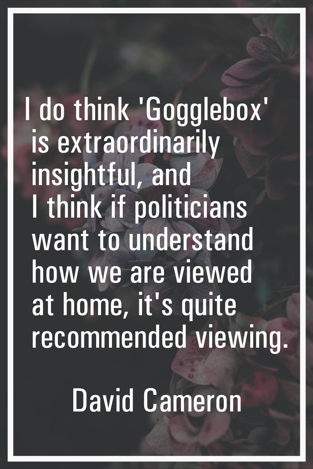 I do think 'Gogglebox' is extraordinarily insightful, and I think if politicians want to understand