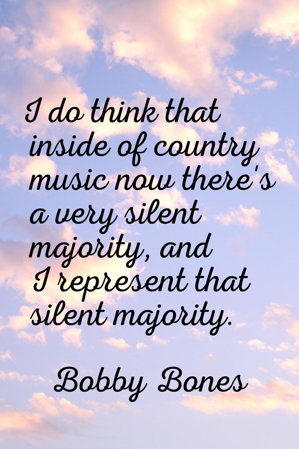 I do think that inside of country music now there's a very silent majority, and I represent that si