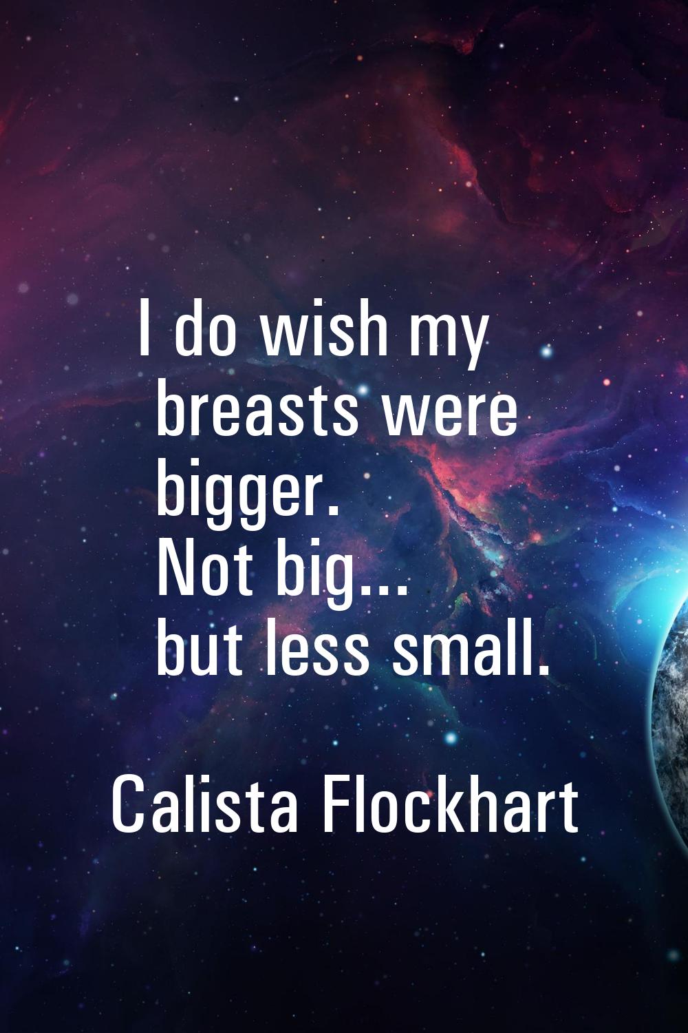 I do wish my breasts were bigger. Not big... but less small.