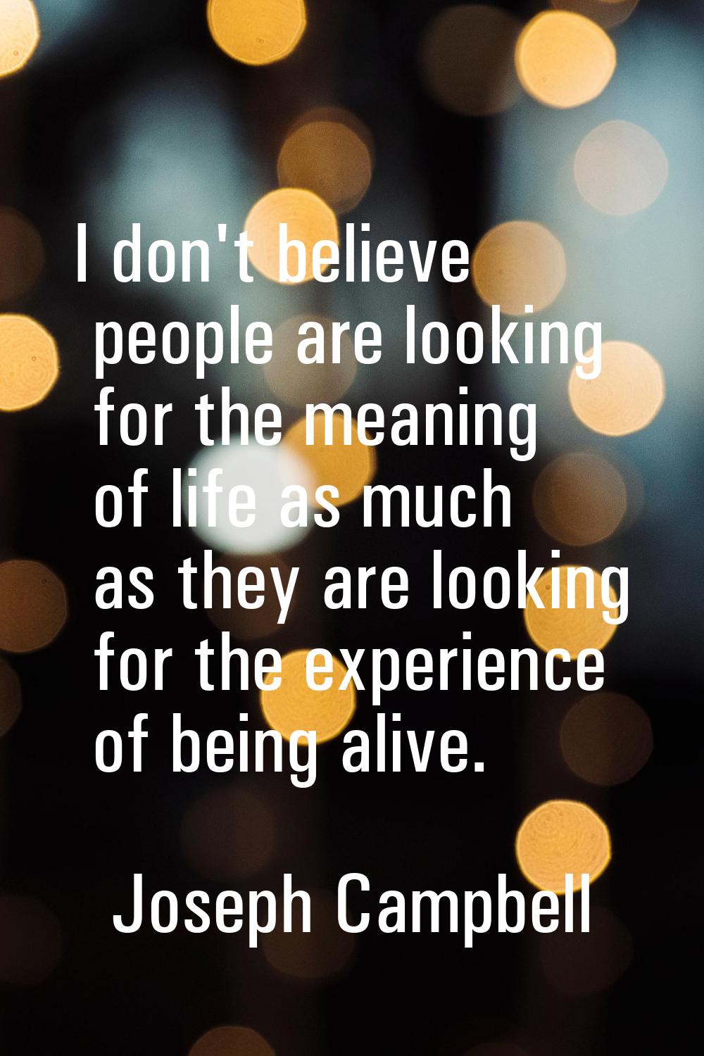I don't believe people are looking for the meaning of life as much as they are looking for the expe