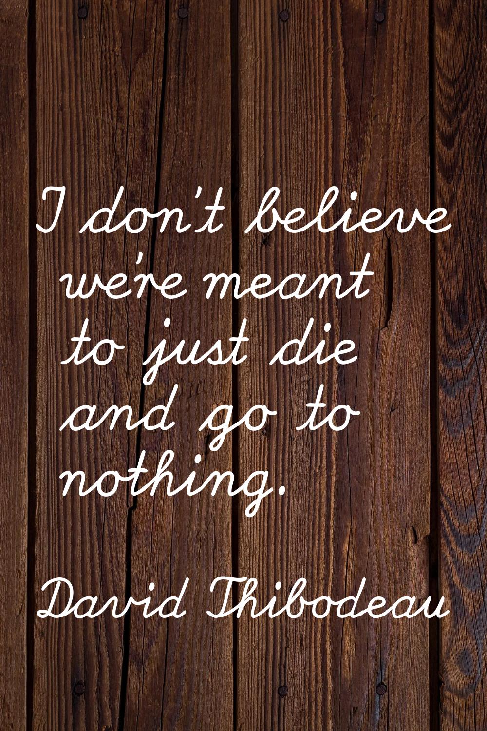 I don't believe we're meant to just die and go to nothing.