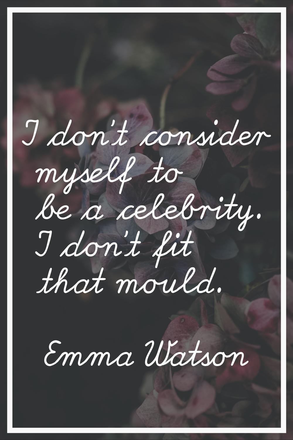 I don't consider myself to be a celebrity. I don't fit that mould.