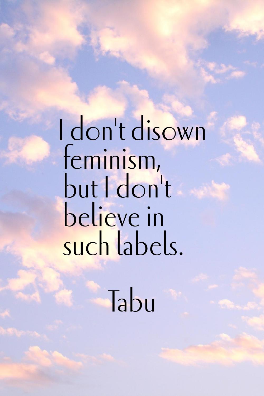 I don't disown feminism, but I don't believe in such labels.