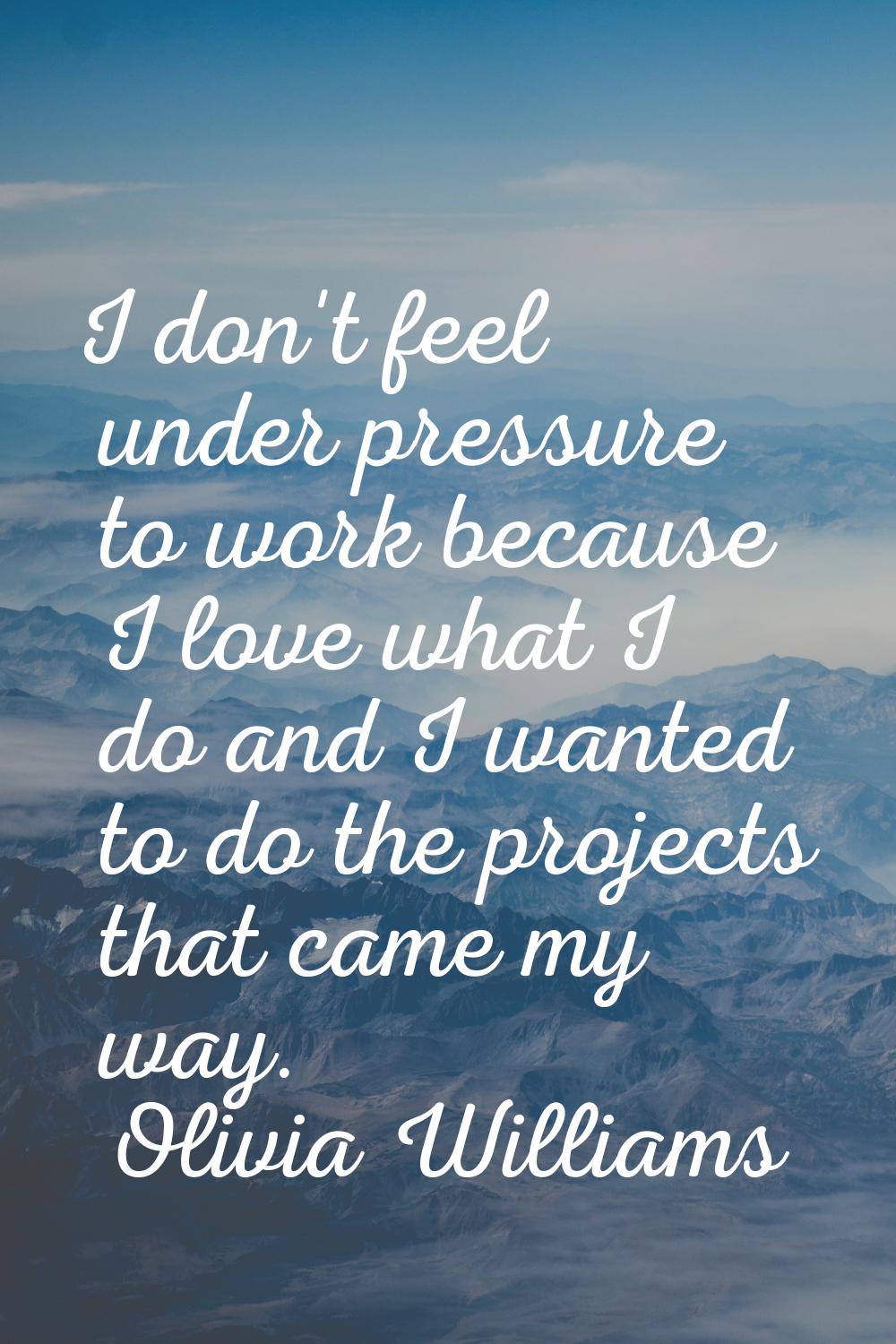 I don't feel under pressure to work because I love what I do and I wanted to do the projects that c