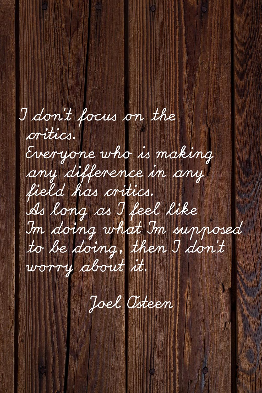 I don't focus on the critics. Everyone who is making any difference in any field has critics. As lo