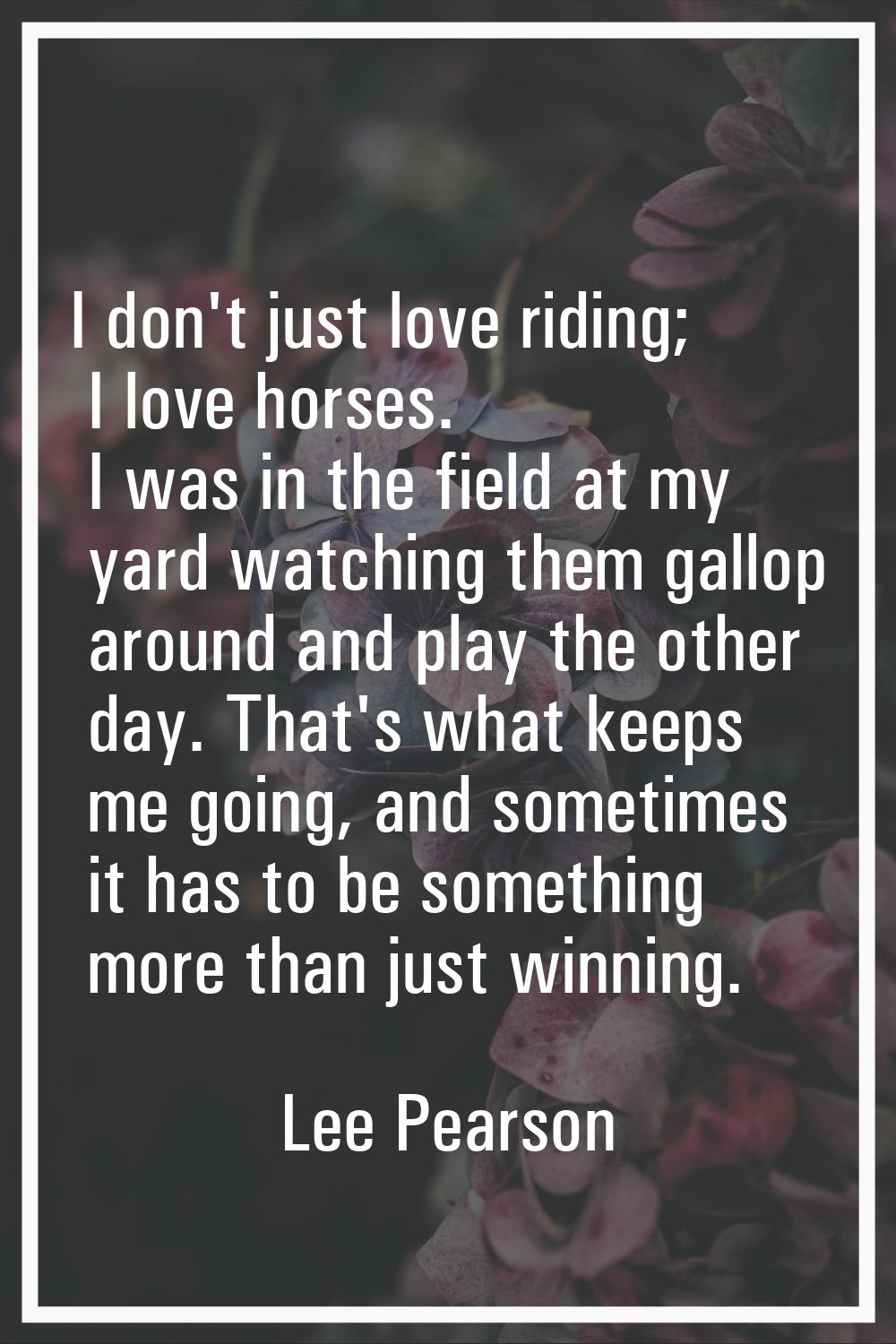 I don't just love riding; I love horses. I was in the field at my yard watching them gallop around 