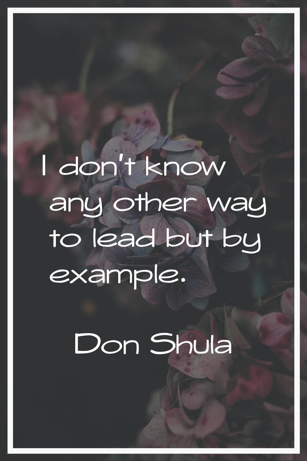 I don't know any other way to lead but by example.
