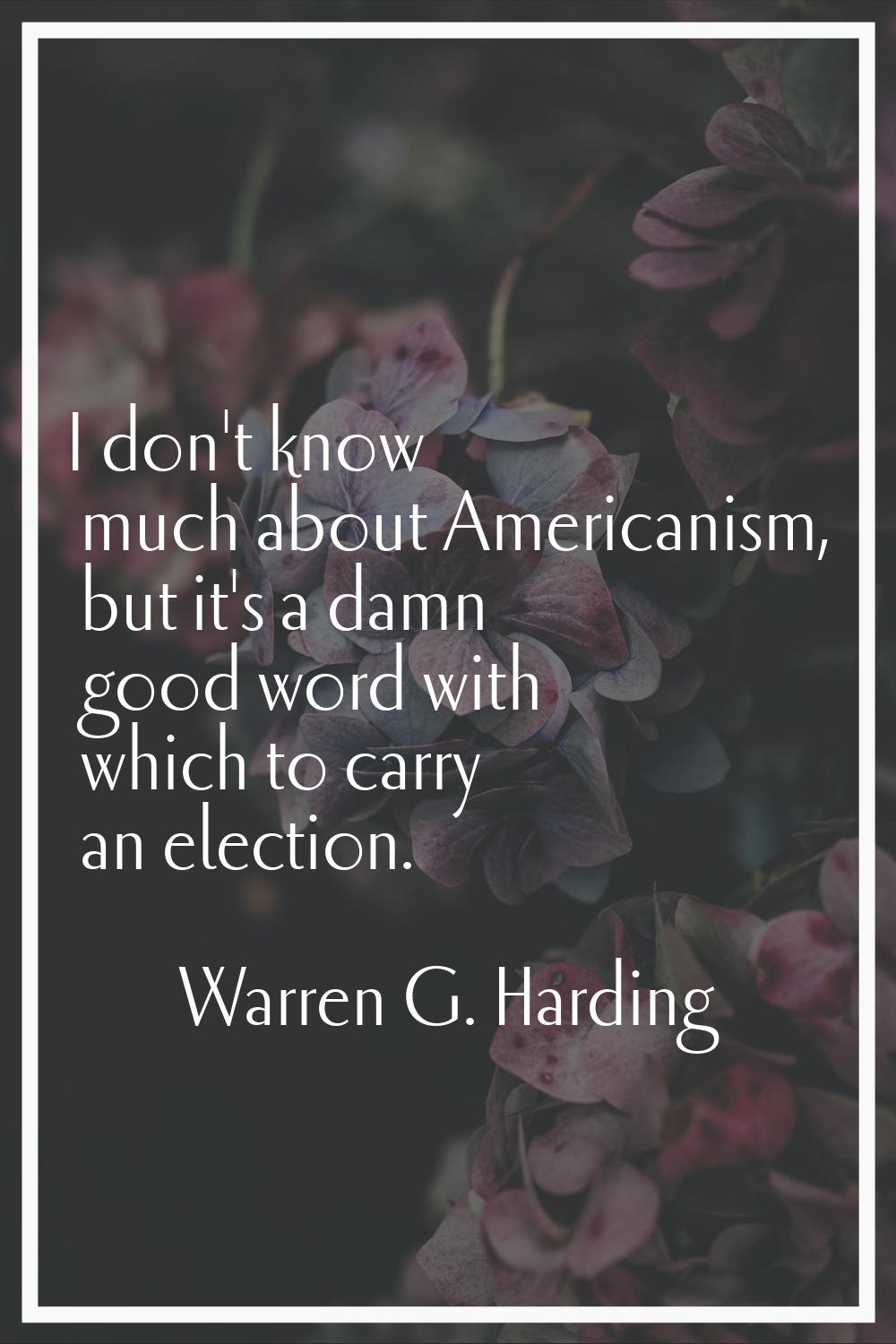 I don't know much about Americanism, but it's a damn good word with which to carry an election.