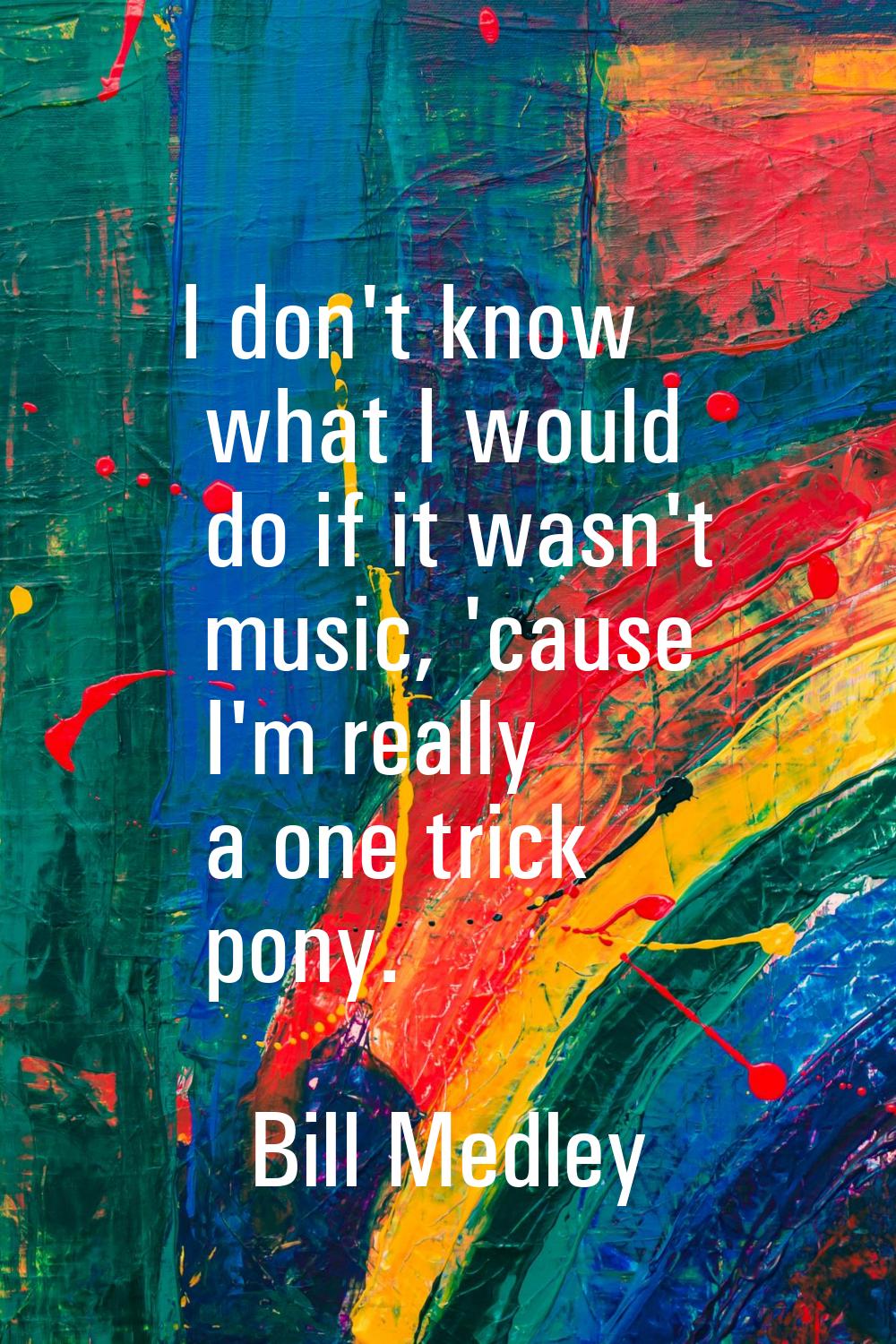 I don't know what I would do if it wasn't music, 'cause I'm really a one trick pony.