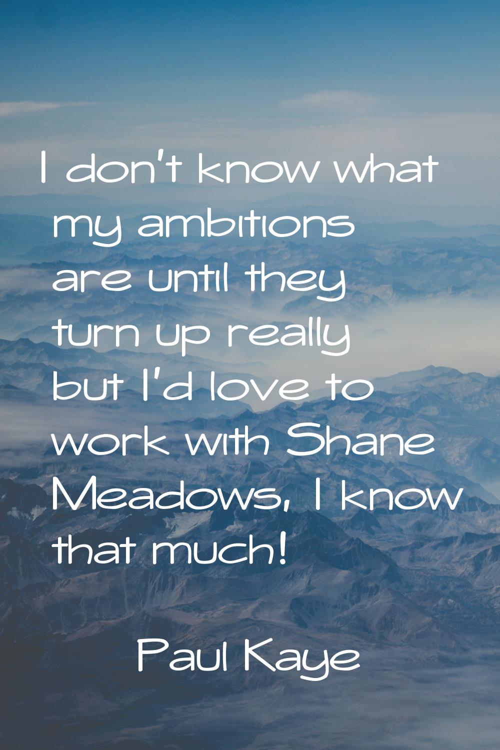 I don't know what my ambitions are until they turn up really but I'd love to work with Shane Meadow