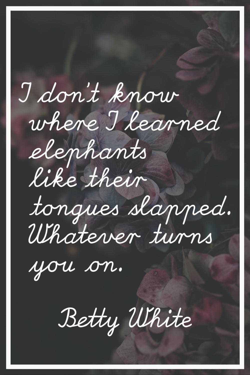 I don't know where I learned elephants like their tongues slapped. Whatever turns you on.