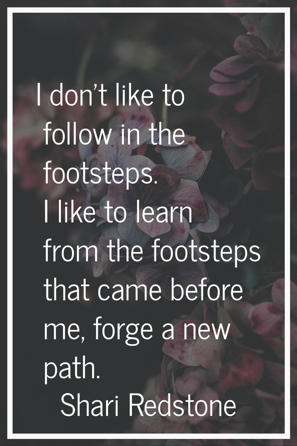 I don't like to follow in the footsteps. I like to learn from the footsteps that came before me, fo