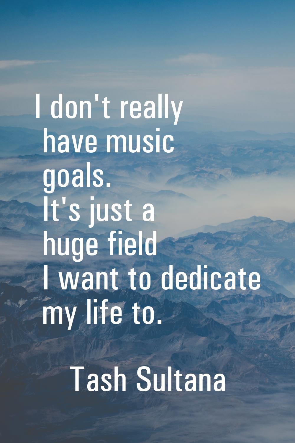 I don't really have music goals. It's just a huge field I want to dedicate my life to.