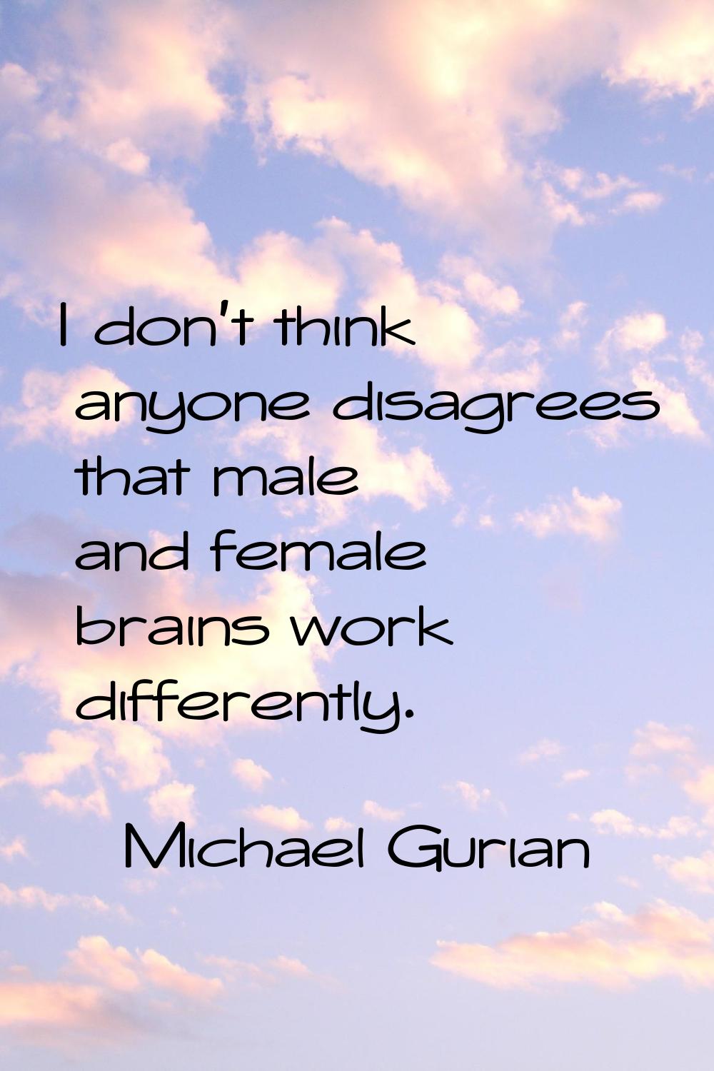 I don't think anyone disagrees that male and female brains work differently.