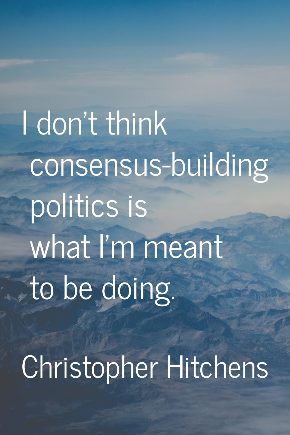 I don't think consensus-building politics is what I'm meant to be doing.