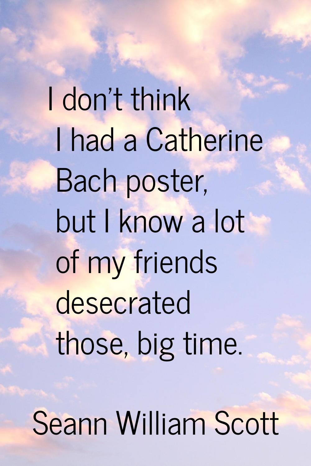 I don't think I had a Catherine Bach poster, but I know a lot of my friends desecrated those, big t