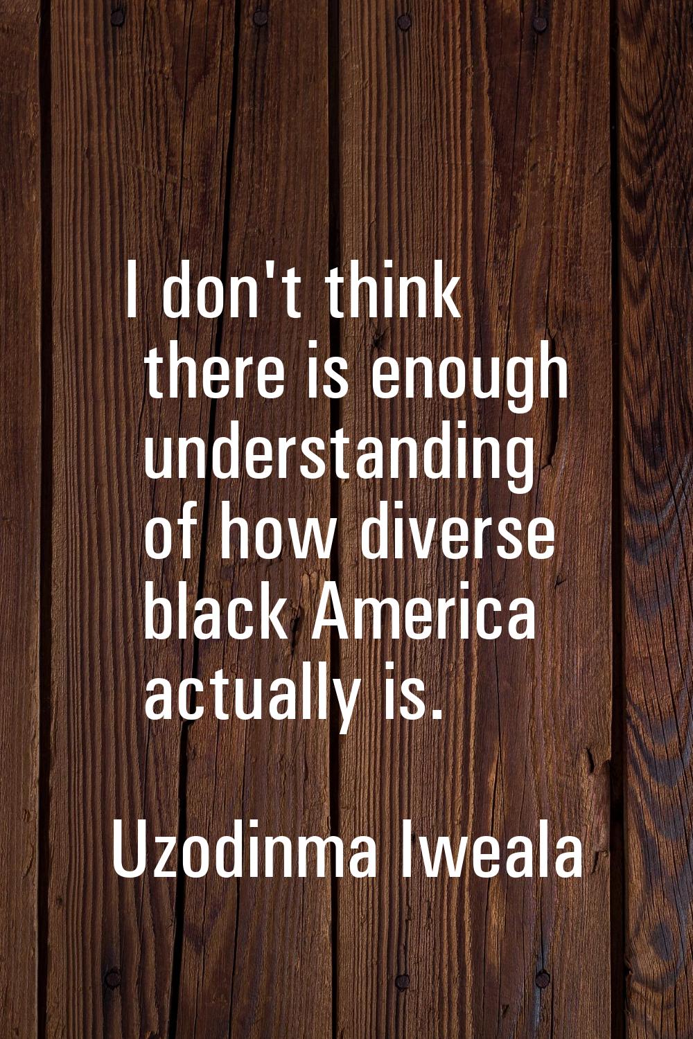 I don't think there is enough understanding of how diverse black America actually is.