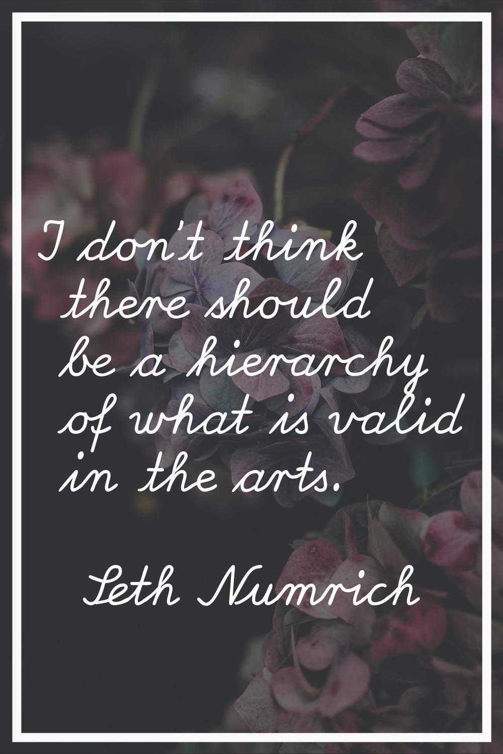 I don't think there should be a hierarchy of what is valid in the arts.