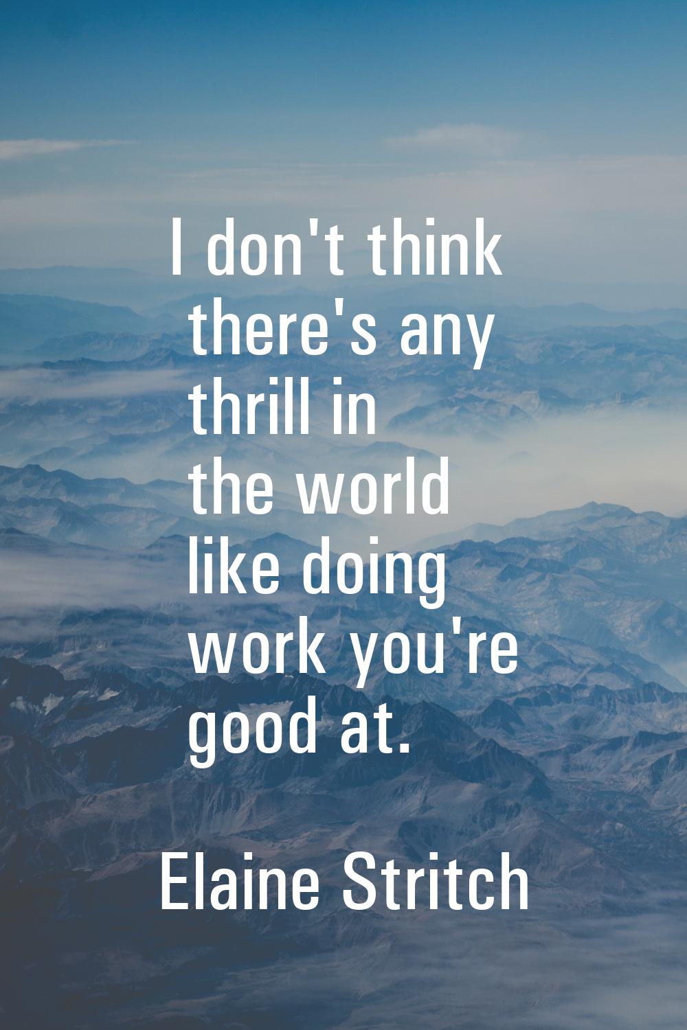 I don't think there's any thrill in the world like doing work you're good at.