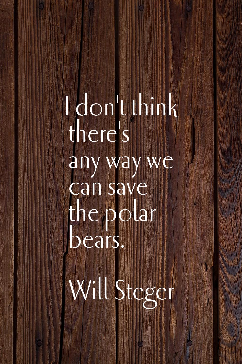 I don't think there's any way we can save the polar bears.
