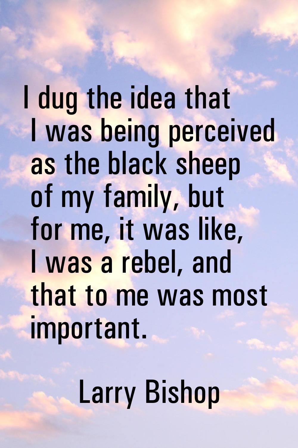 I dug the idea that I was being perceived as the black sheep of my family, but for me, it was like,