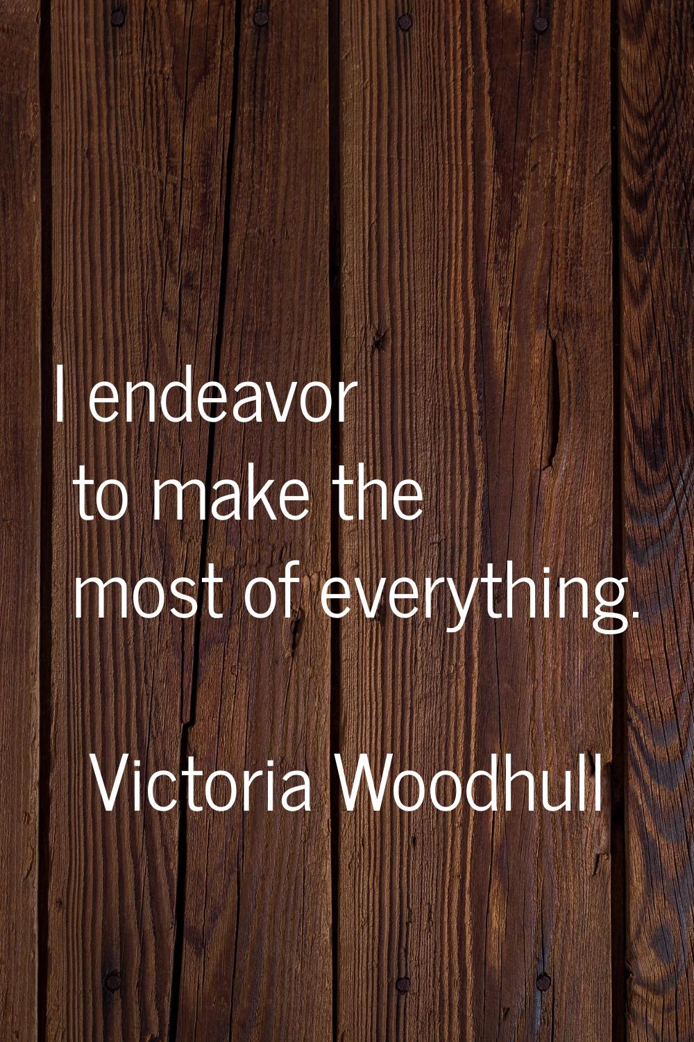 I endeavor to make the most of everything.