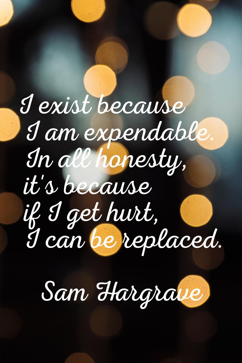 I exist because I am expendable. In all honesty, it's because if I get hurt, I can be replaced.