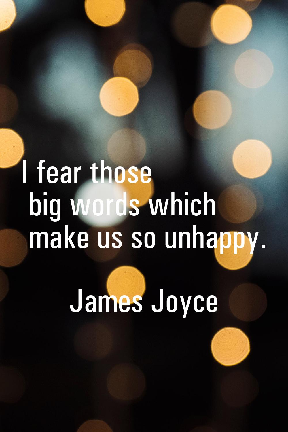 I fear those big words which make us so unhappy.
