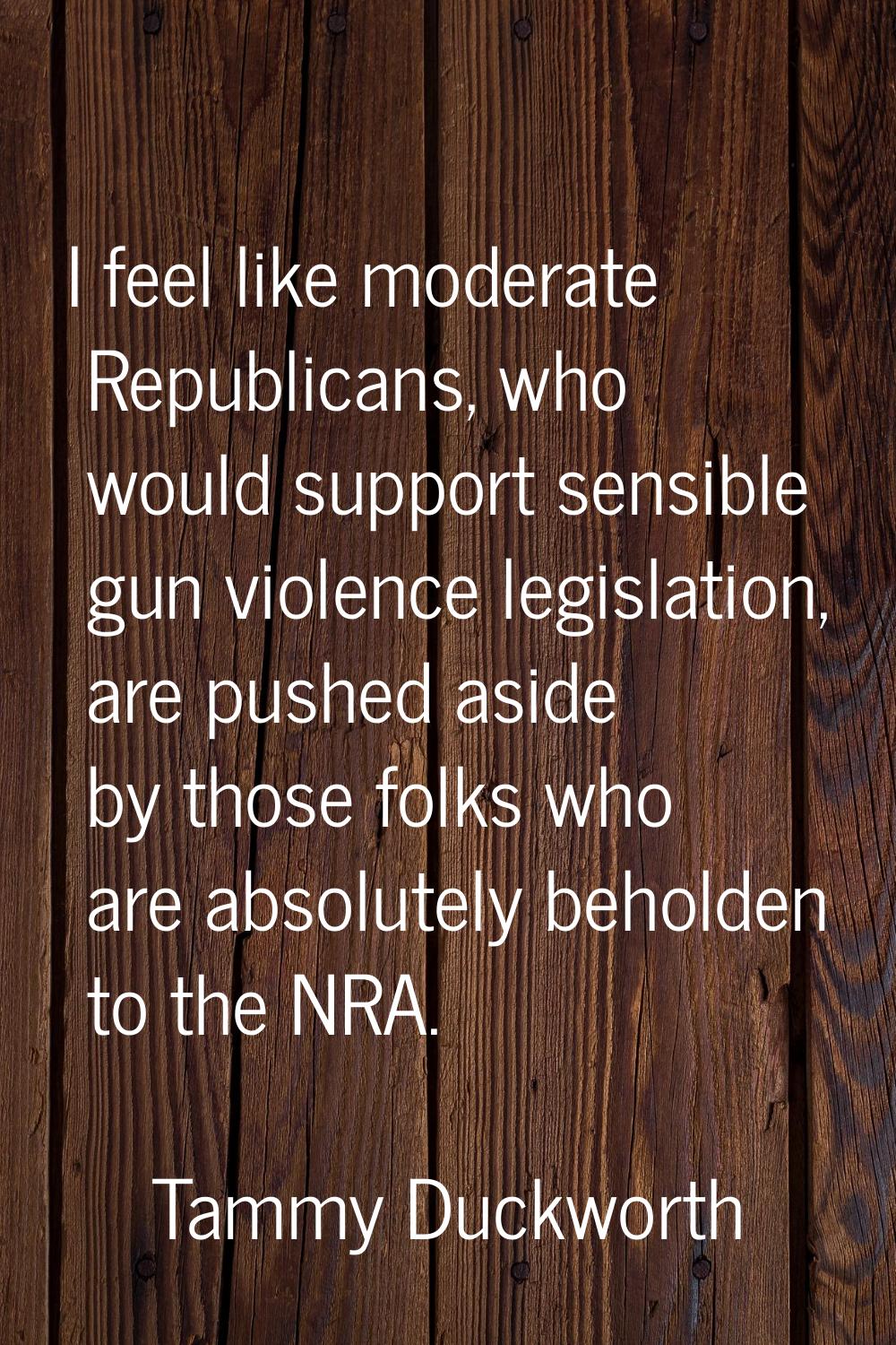 I feel like moderate Republicans, who would support sensible gun violence legislation, are pushed a